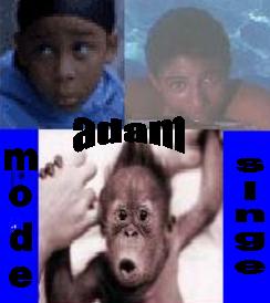 adam en mode singe lololo