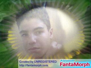 c moi youssef